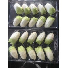 招财白菜