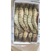 精品草虾