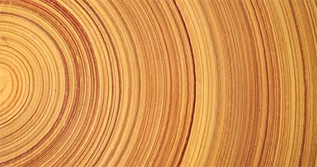 科学家研发出超级木材，硬过钢铁还能挡子弹