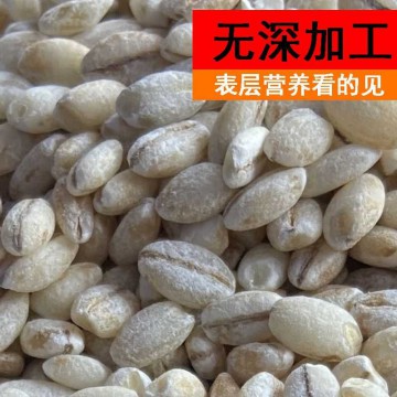 青海青稞米粗粮代餐藜麦荞麦五谷杂粮粥高原特产麦仁谷物