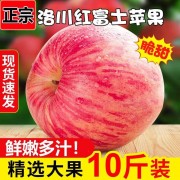 精选正宗陕西洛川苹果红富士脆甜冰糖心苹果批发整箱新鲜苹果水果