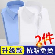 蓝色男士衬衫口袋商务职业职业上班正装硬领短袖纯色免烫长袖衬衣