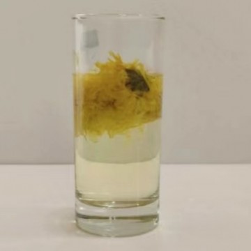 大量批发胎菊茶