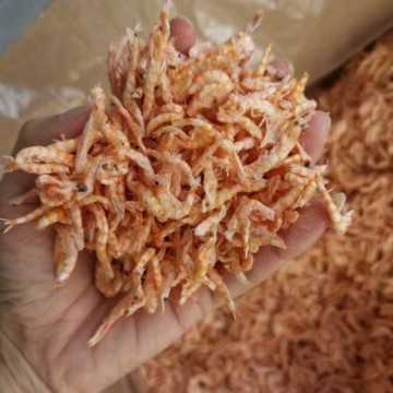 宠物零食冻干宠物零食冻干磷虾