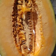 批发零售哈密瓜水果甜