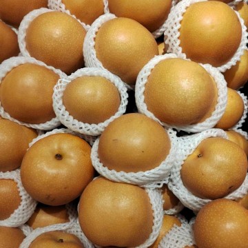 正宗秋月梨山东莱阳梨子新鲜正宗冰糖梨莱阳梨无渣核小汁多脆甜