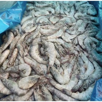 盐冻虾  大虾   青虾
