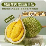 【品质精选】泰国进口金枕头榴莲新鲜带壳热带水果应季水果批发