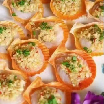 黄金粉丝扇贝海鲜冻品批发贝类食材自助餐饮美食饭店食材