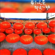 万家灯火，红红火火，武陟大红灯笼厂家祝贺全国人民幸福满满