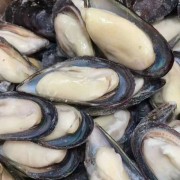 蓝口贝整箱冷冻海鲜美食火锅店酒店烧烤海鲜大排档食材
