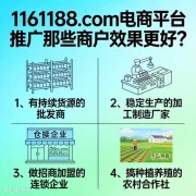 1161188.com电商平台推广那些商户效果更好？